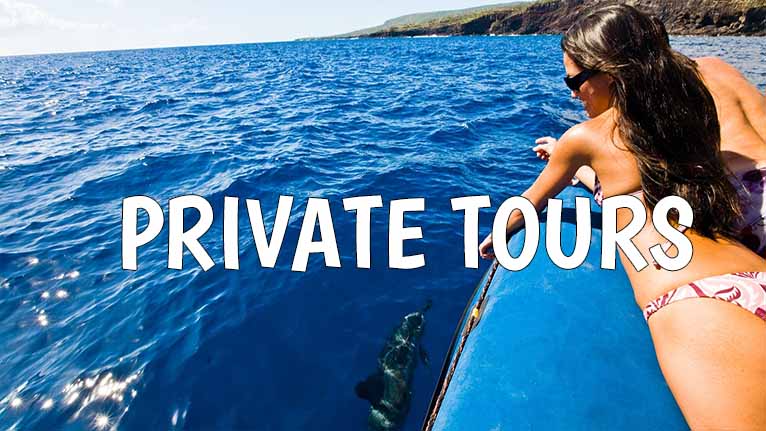 Oahu Private Tours