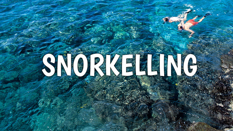 Big Island Snorkelling
